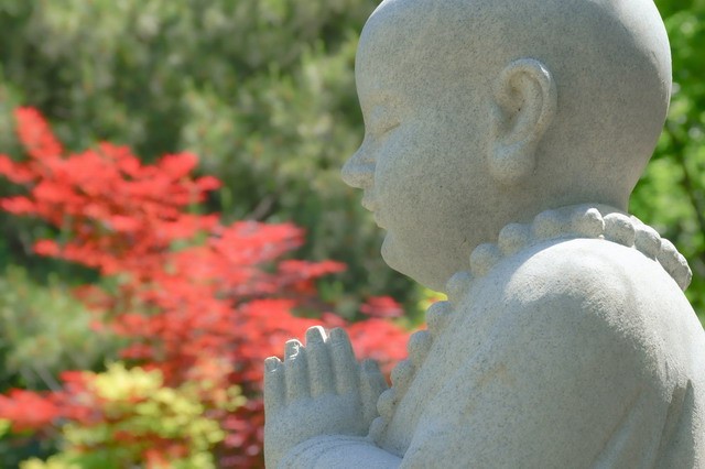 日月并明格的命理解析与人生启示