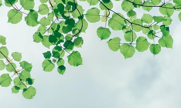 AB型血性格总是想得多太敏感