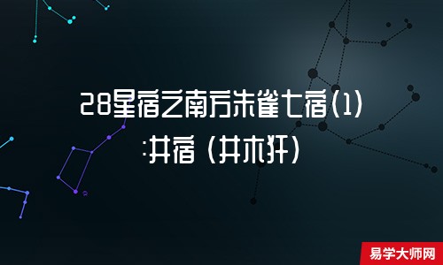 28星宿之南方朱雀七宿(1):井宿 (井木犴)