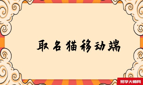 取名猫移动端