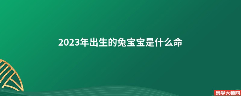 2023年出生的兔宝宝是什么命