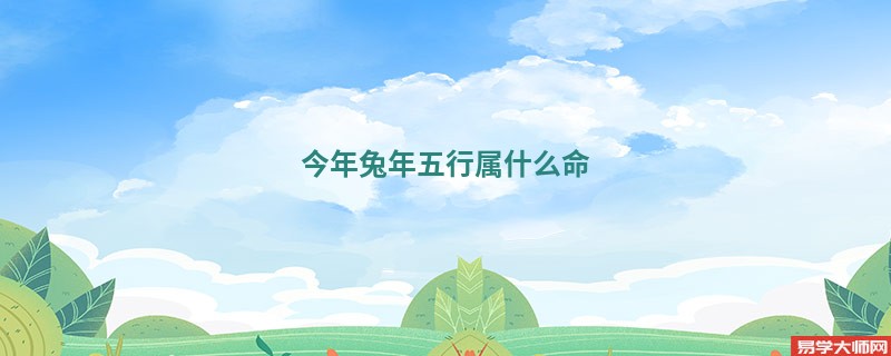 今年兔年五行属什么命