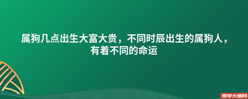 属狗几点出生大富大贵，不同时辰出生的属狗人，有着不同的命运