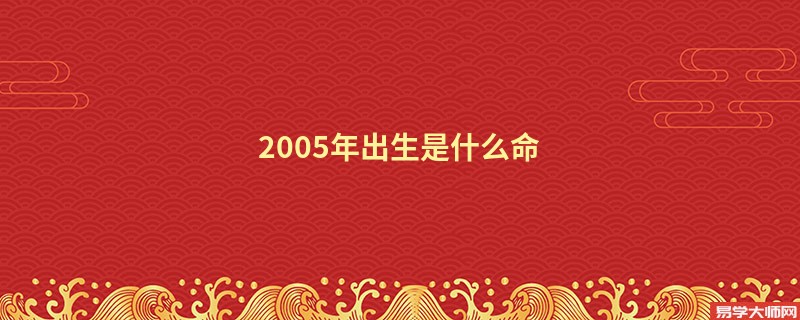 2005年出生是什么命