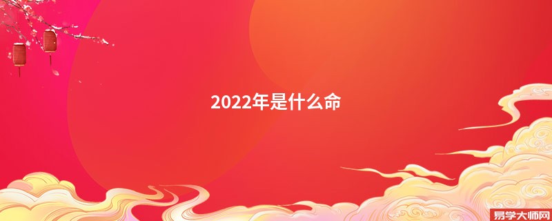 2022年是什么命