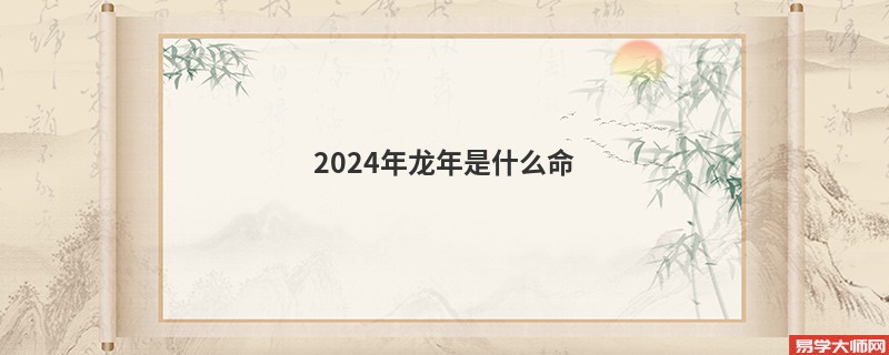 2024年龙年是什么命