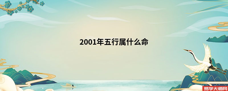 2001年五行属什么命