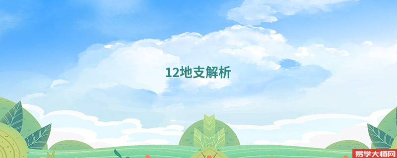 12地支解析