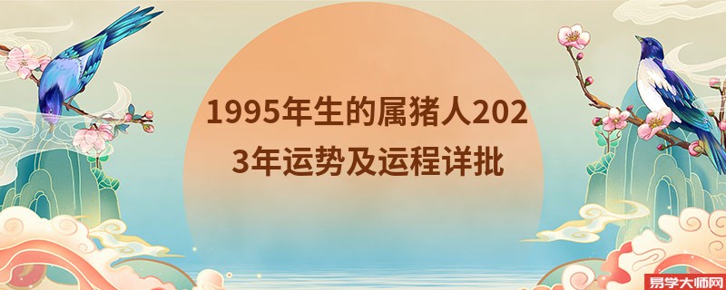 1995年生的属猪人2023年运势及运程详批