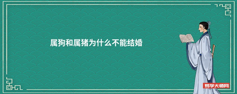 属狗和属猪为什么不能结婚