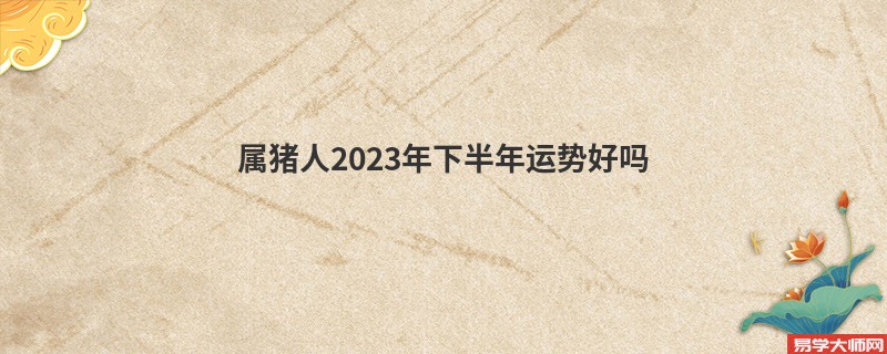 属猪人2023年下半年运势好吗