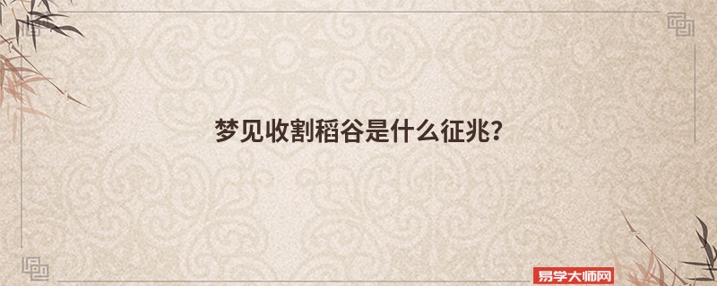 梦见收割稻谷是什么征兆？