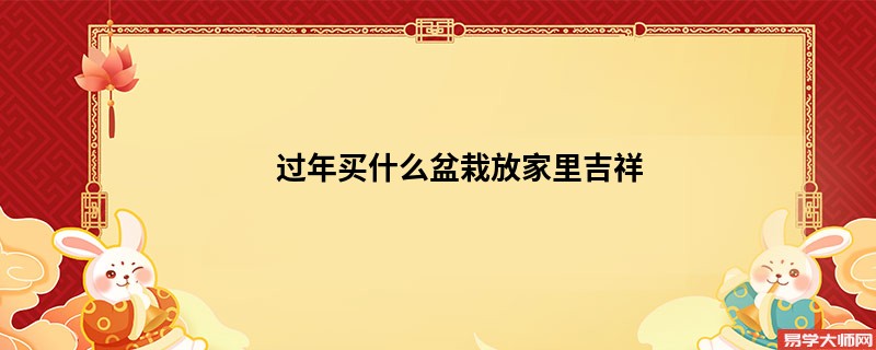 过年买什么盆栽放家里吉祥