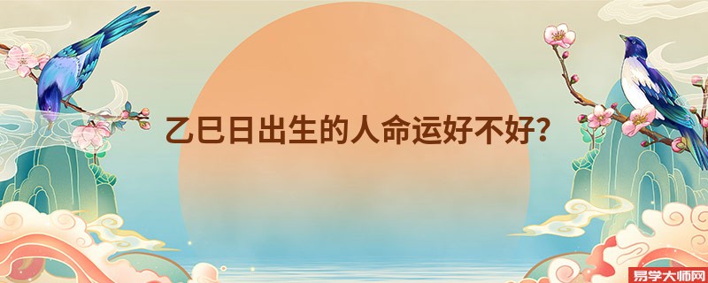 乙巳日出生的人命运好不好？