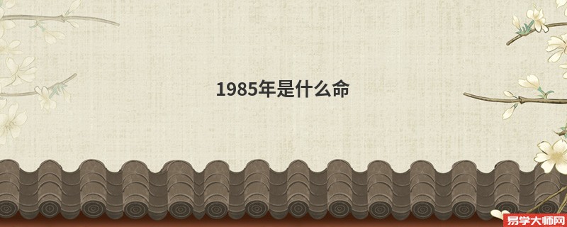 1985年是什么命