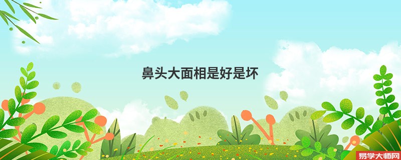 <b>鼻头大面相是好是坏</b>