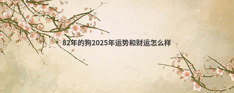 82年的狗2025年运势和财运怎么样