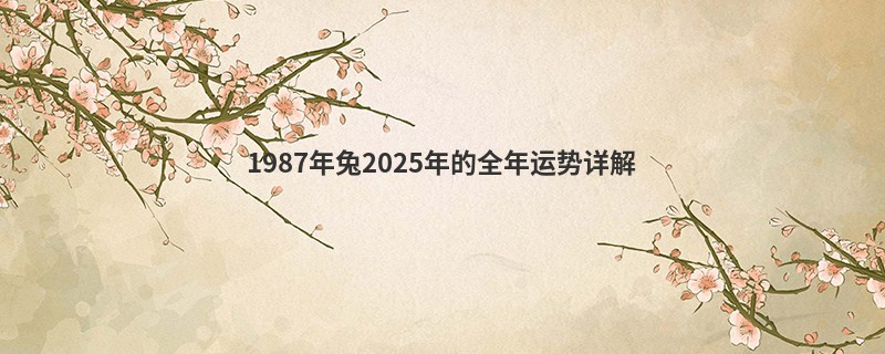 1987年兔2025年的全年运势详解