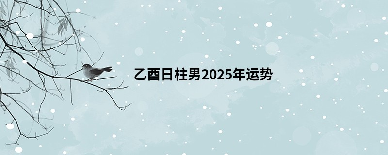 乙酉日柱男2025年运势