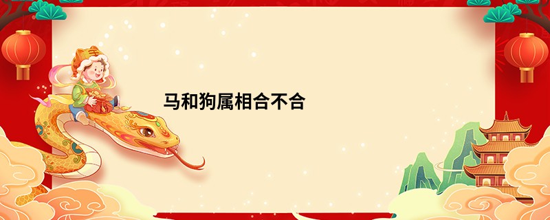 马和狗属相合不合