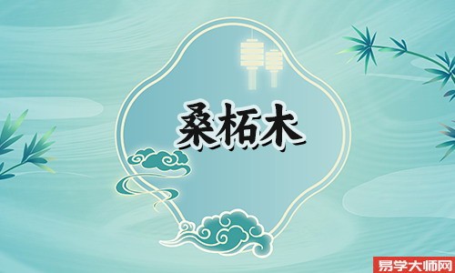 桑拓木命的人适合在异地生活或者创业吗