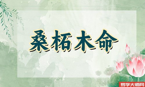 八字算命，桑柘木命人命带正印吗？