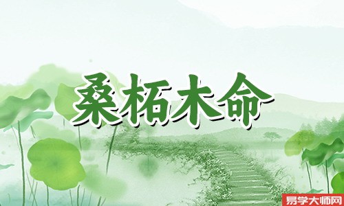 桑柘木命的人将来几年的运势怎么样，事业发展较慢？