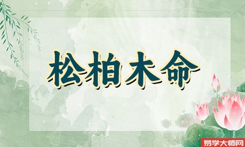 松柏木命男孩 一生运势好不好？