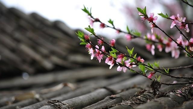 卧室风水增加桃花运应该如何布局