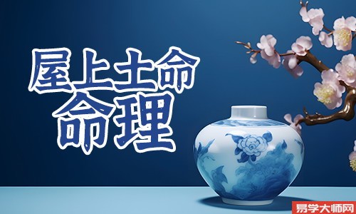 屋上土命是偏财格吗?