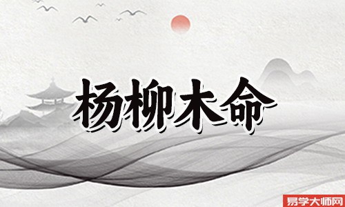 杨柳木命是什么意思