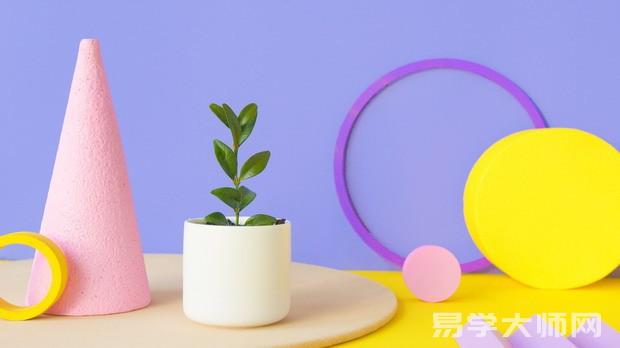 风水大师：家里养这几种植物，财运会越来越好！